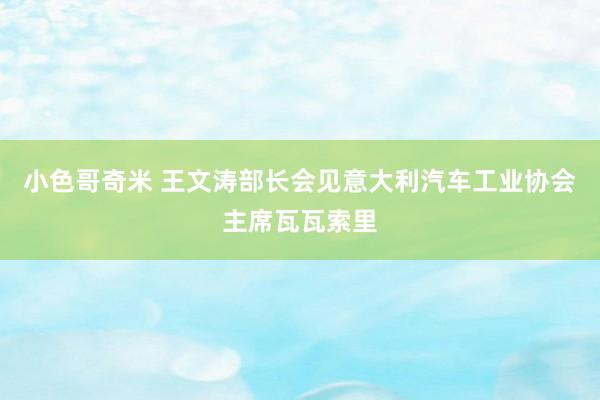 小色哥奇米 王文涛部长会见意大利汽车工业协会主席瓦瓦索里