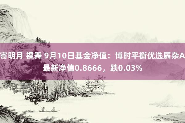 寄明月 裸舞 9月10日基金净值：博时平衡优选羼杂A最新净值0.8666，跌0.03%