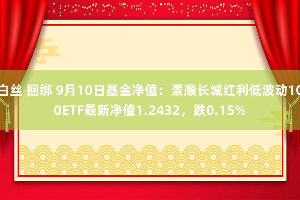 白丝 捆绑 9月10日基金净值：景顺长城红利低波动100ETF最新净值1.2432，跌0.15%