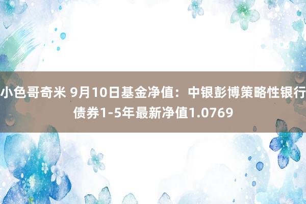 小色哥奇米 9月10日基金净值：中银彭博策略性银行债券1-5年最新净值1.0769