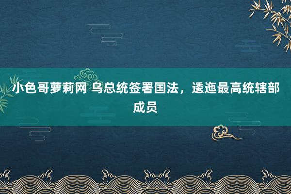 小色哥萝莉网 乌总统签署国法，逶迤最高统辖部成员