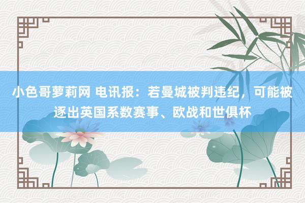 小色哥萝莉网 电讯报：若曼城被判违纪，可能被逐出英国系数赛事、欧战和世俱杯