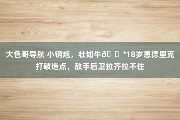 大色哥导航 小钢炮，壮如牛🐮18岁恩德里克打破造点，敌手后卫拉齐拉不住