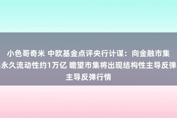 小色哥奇米 中欧基金点评央行计谋：向金融市集提供永久流动性约1万亿 瞻望市集将出现结构性主导反弹行情