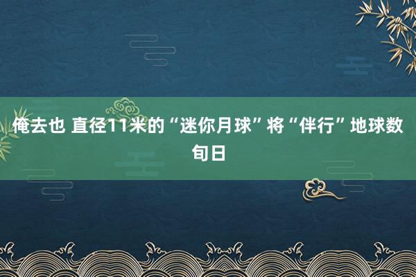 俺去也 直径11米的“迷你月球”将“伴行”地球数旬日