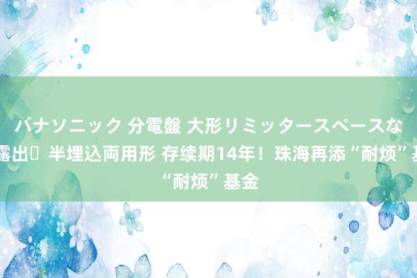 パナソニック 分電盤 大形リミッタースペースなし 露出・半埋込両用形 存续期14年！珠海再添“耐烦”基金