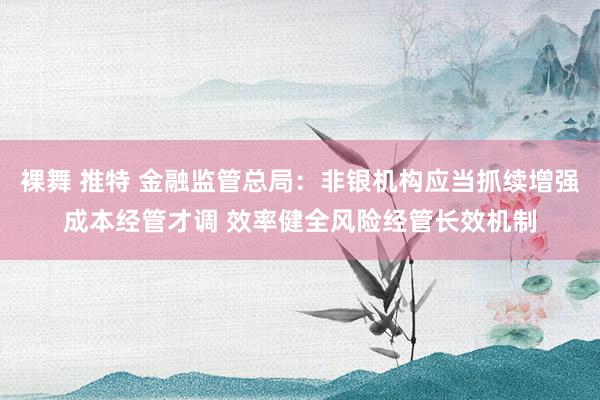 裸舞 推特 金融监管总局：非银机构应当抓续增强成本经管才调 效率健全风险经管长效机制