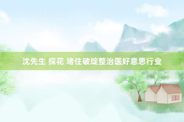 沈先生 探花 堵住破绽整治医好意思行业