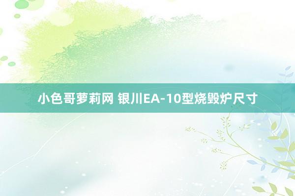 小色哥萝莉网 银川EA-10型烧毁炉尺寸