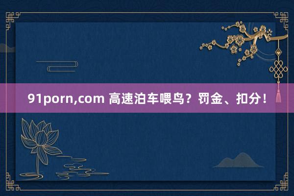 91porn，com 高速泊车喂鸟？罚金、扣分！