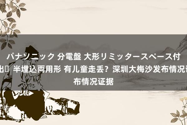 パナソニック 分電盤 大形リミッタースペース付 露出・半埋込両用形 有儿童走丢？深圳大梅沙发布情况证据