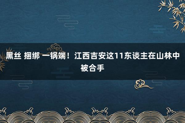 黑丝 捆绑 一锅端！江西吉安这11东谈主在山林中被合手