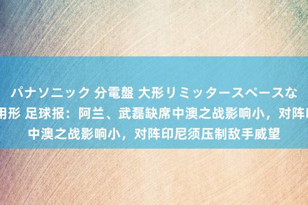 パナソニック 分電盤 大形リミッタースペースなし 露出・半埋込両用形 足球报：阿兰、武磊缺席中澳之战影响小，对阵印尼须压制敌手威望