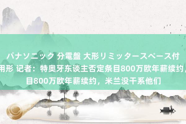 パナソニック 分電盤 大形リミッタースペース付 露出・半埋込両用形 记者：特奥牙东谈主否定条目800万欧年薪续约，米兰没干系他们