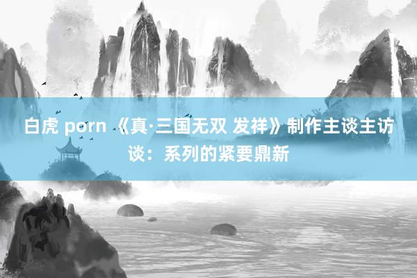 白虎 porn 《真·三国无双 发祥》制作主谈主访谈：系列的紧要鼎新