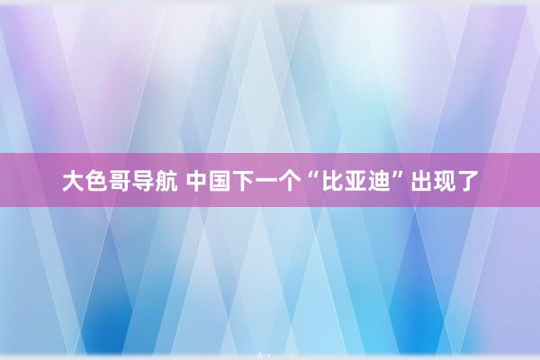 大色哥导航 中国下一个“比亚迪”出现了