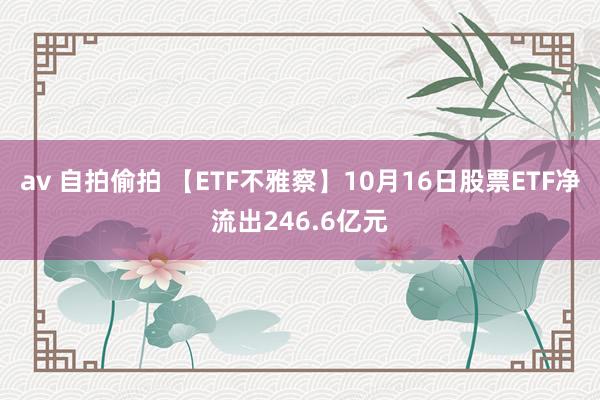 av 自拍偷拍 【ETF不雅察】10月16日股票ETF净流出246.6亿元