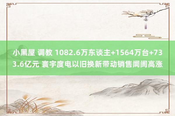 小黑屋 调教 1082.6万东谈主+1564万台+733.6亿元 寰宇度电以旧换新带动销售阛阓高涨