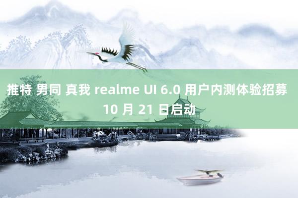 推特 男同 真我 realme UI 6.0 用户内测体验招募 10 月 21 日启动