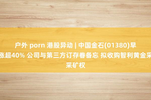 户外 porn 港股异动 | 中国金石(01380)早盘再涨超40% 公司与第三方订存眷备忘 拟收购智利黄金采矿权