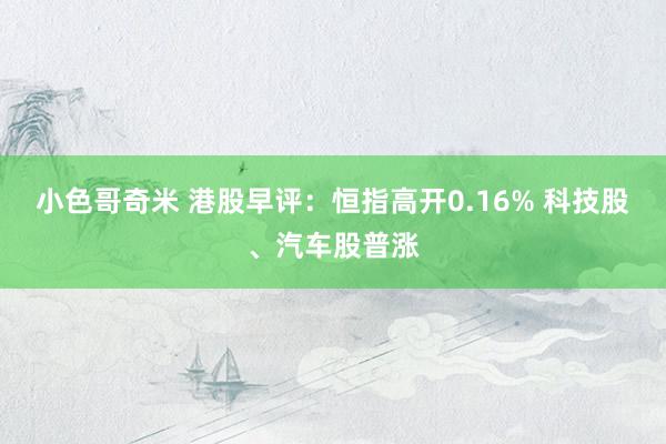 小色哥奇米 港股早评：恒指高开0.16% 科技股、汽车股普涨