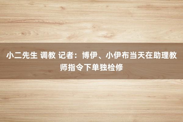 小二先生 调教 记者：博伊、小伊布当天在助理教师指令下单独检修