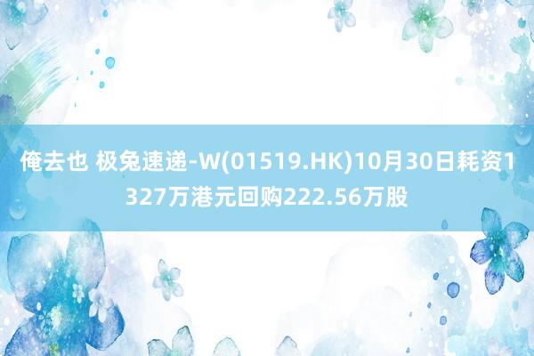 俺去也 极兔速递-W(01519.HK)10月30日耗资1327万港元回购222.56万股