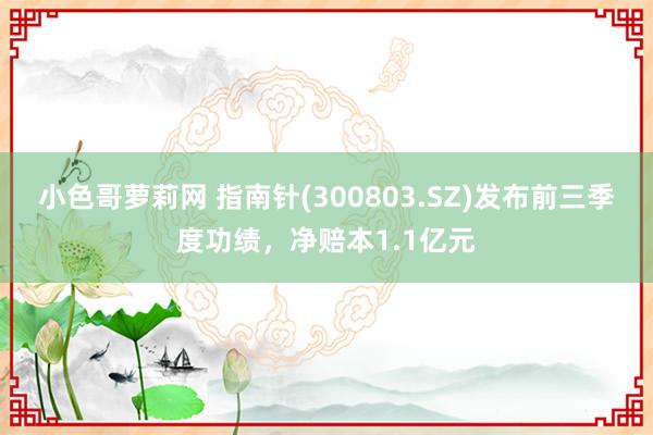 小色哥萝莉网 指南针(300803.SZ)发布前三季度功绩，净赔本1.1亿元