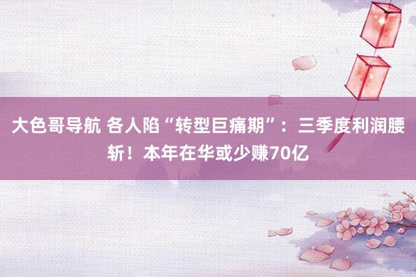 大色哥导航 各人陷“转型巨痛期”：三季度利润腰斩！本年在华或少赚70亿