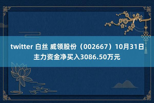 twitter 白丝 威领股份（002667）10月31日主力资金净买入3086.50万元