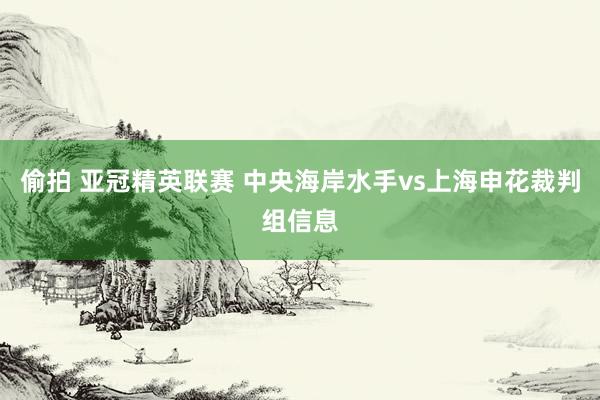 偷拍 亚冠精英联赛 中央海岸水手vs上海申花裁判组信息