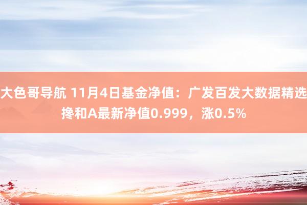 大色哥导航 11月4日基金净值：广发百发大数据精选搀和A最新净值0.999，涨0.5%