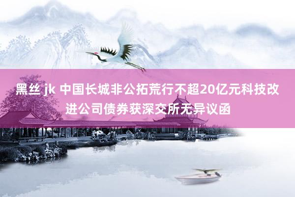 黑丝 jk 中国长城非公拓荒行不超20亿元科技改进公司债券获深交所无异议函