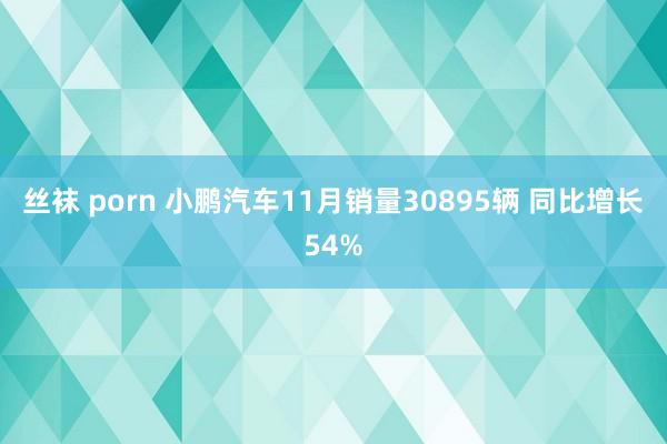 丝袜 porn 小鹏汽车11月销量30895辆 同比增长54%