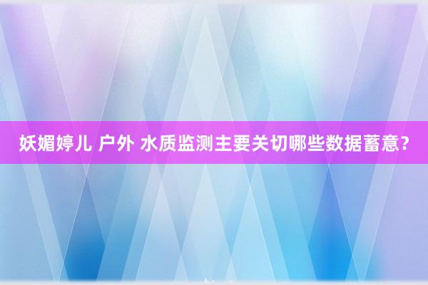 妖媚婷儿 户外 水质监测主要关切哪些数据蓄意？