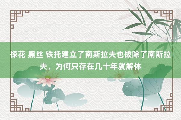 探花 黑丝 铁托建立了南斯拉夫也拔除了南斯拉夫，为何只存在几十年就解体