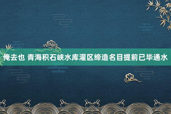 俺去也 青海积石峡水库灌区缔造名目提前已毕通水