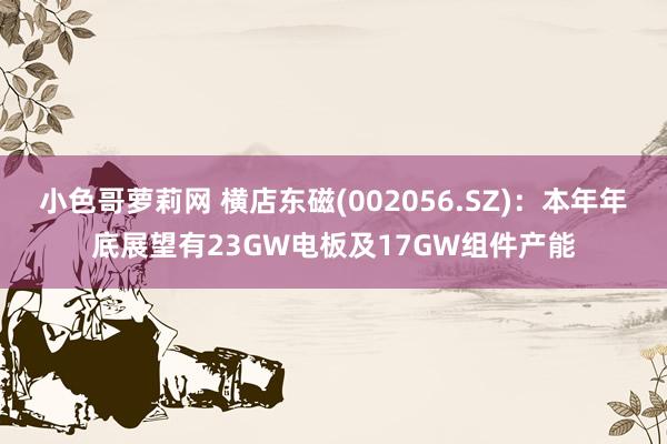 小色哥萝莉网 横店东磁(002056.SZ)：本年年底展望有23GW电板及17GW组件产能