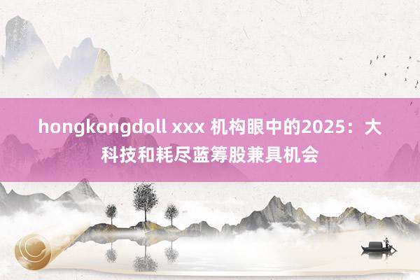 hongkongdoll xxx 机构眼中的2025：大科技和耗尽蓝筹股兼具机会