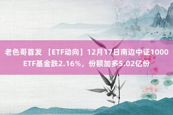 老色哥首发 【ETF动向】12月17日南边中证1000ETF基金跌2.16%，份额加多5.02亿份