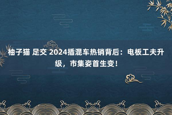 柚子猫 足交 2024插混车热销背后：电板工夫升级，市集姿首生变！