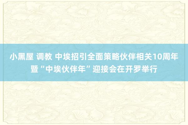 小黑屋 调教 中埃招引全面策略伙伴相关10周年暨“中埃伙伴年”迎接会在开罗举行