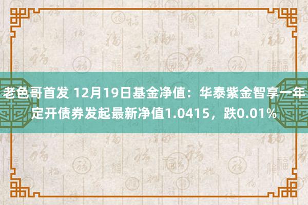 老色哥首发 12月19日基金净值：华泰紫金智享一年定开债券发起最新净值1.0415，跌0.01%