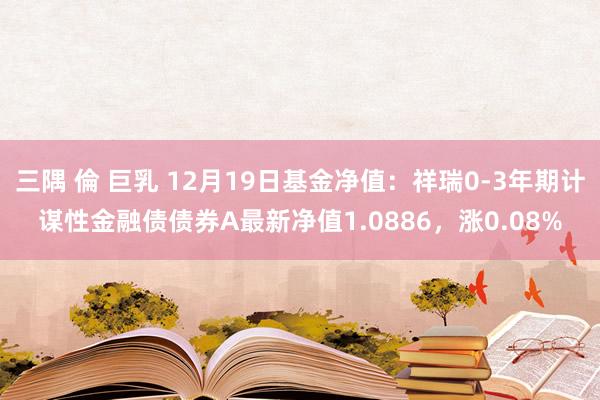 三隅 倫 巨乳 12月19日基金净值：祥瑞0-3年期计谋性金融债债券A最新净值1.0886，涨0.08%