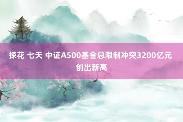 探花 七天 中证A500基金总限制冲突3200亿元 创出新高