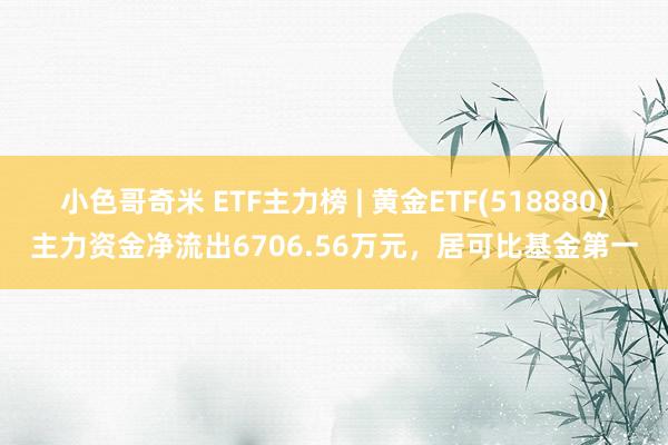 小色哥奇米 ETF主力榜 | 黄金ETF(518880)主力资金净流出6706.56万元，居可比基金第一