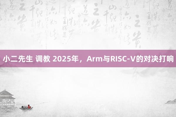 小二先生 调教 2025年，Arm与RISC-V的对决打响