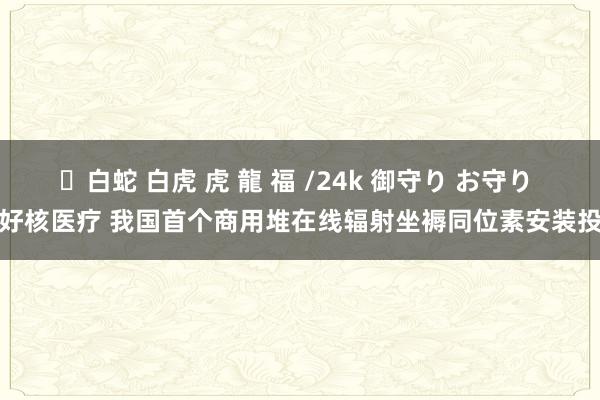 ✨白蛇 白虎 虎 龍 福 /24k 御守り お守り 利好核医疗 我国首个商用堆在线辐射坐褥同位素安装投运