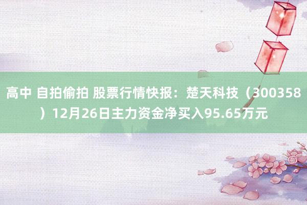 高中 自拍偷拍 股票行情快报：楚天科技（300358）12月26日主力资金净买入95.65万元