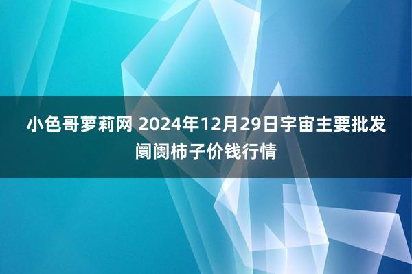 小色哥萝莉网 2024年12月29日宇宙主要批发阛阓柿子价钱行情